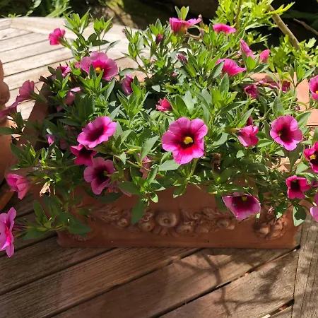 Gaeste-apartment Verweilzeit