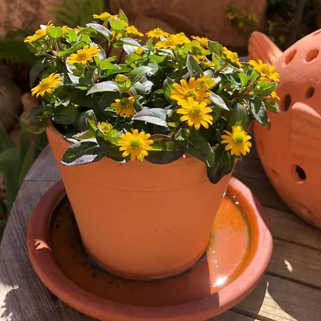 Gaeste-apartment Verweilzeit