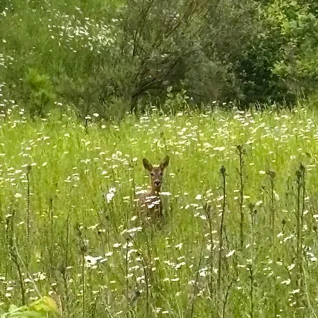 Gaeste-apartment Verweilzeit Windhagen