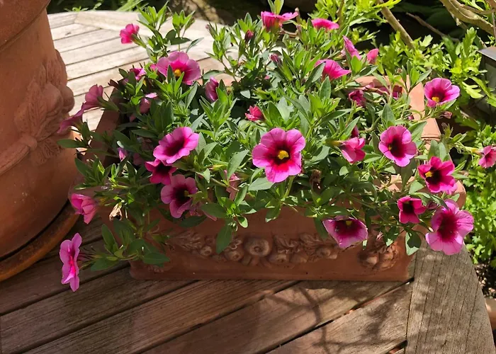 Gaeste-apartment Verweilzeit