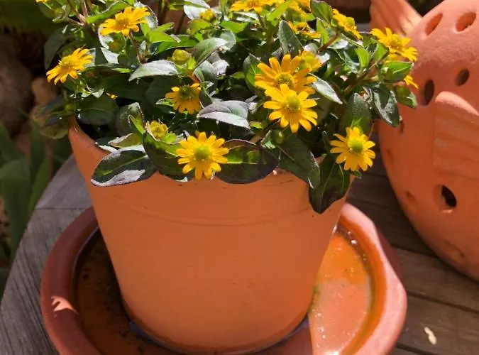 Gaeste-apartment Verweilzeit