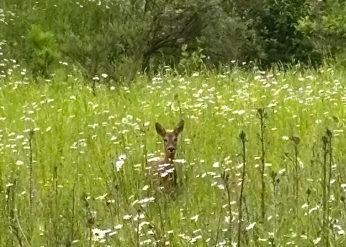 Gaeste-apartment Verweilzeit Windhagen