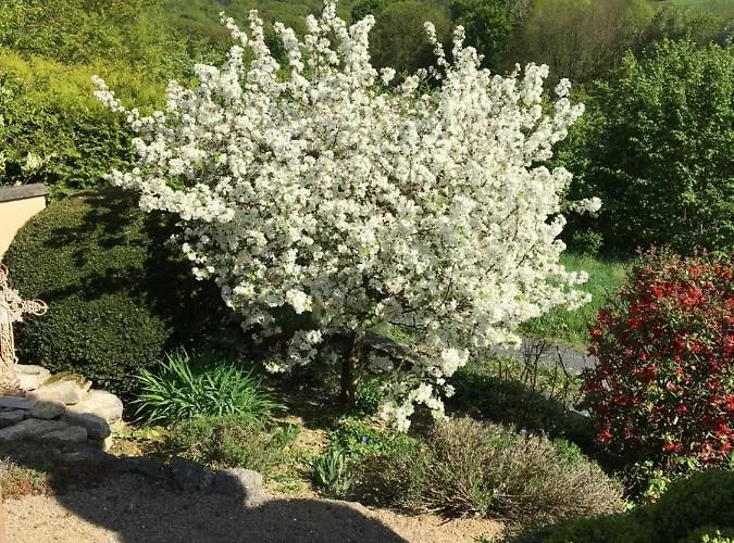 Apartment Gaeste-apartment Verweilzeit *